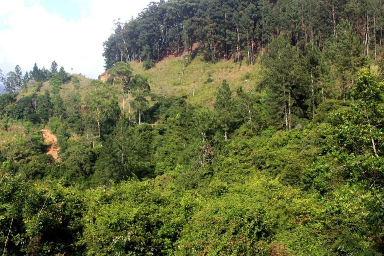 Green Paradise Ella Ngoại thất bức ảnh