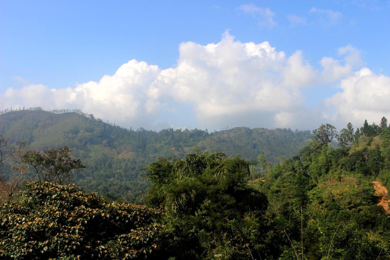 Green Paradise Ella Ngoại thất bức ảnh