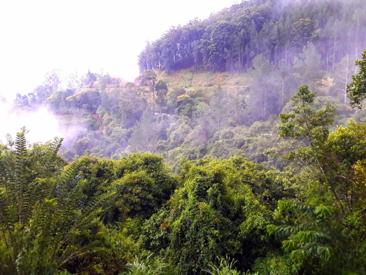 Green Paradise Ella Ngoại thất bức ảnh