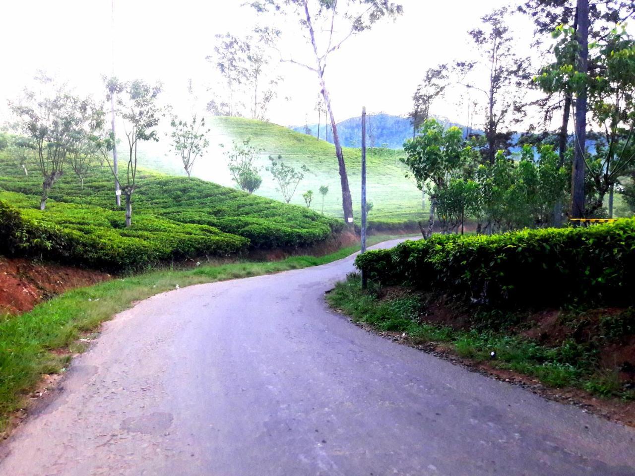 Green Paradise Ella Ngoại thất bức ảnh