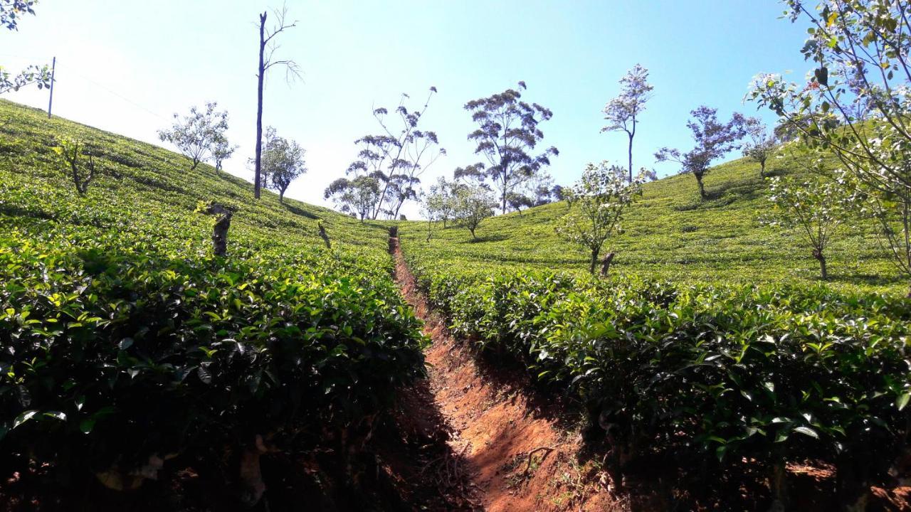 Green Paradise Ella Ngoại thất bức ảnh
